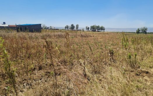 50 by 100 prime plot for sale in sobea Nakuru