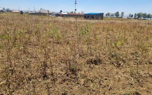 50 by 100 prime plot for sale in sobea Nakuru