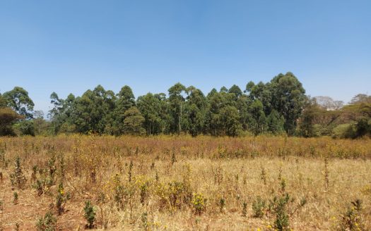 land for sale in Kitale.