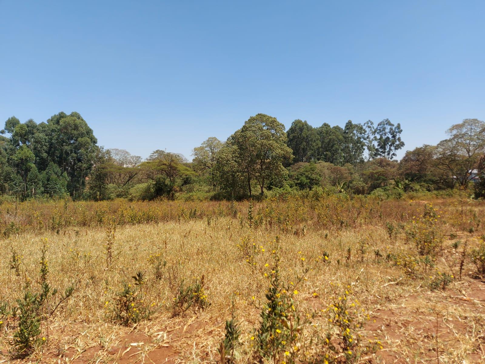 land for sale in Kitale. Metrocosmo LTD