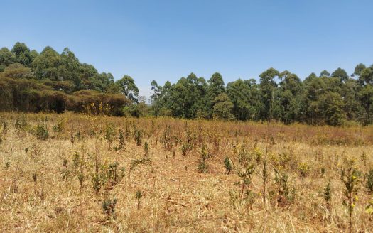 land for sale in Kitale.