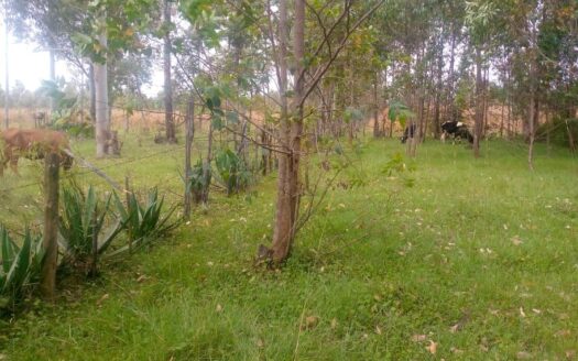 LAND FOR SALE